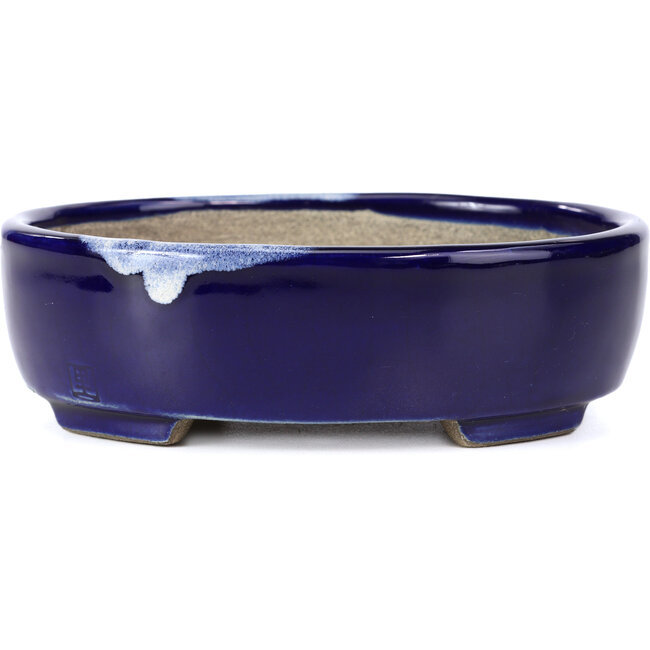 Maceta de bonsái azul ovalada de Terahata Satomi Mazan - 160 x 132 x 47 mm