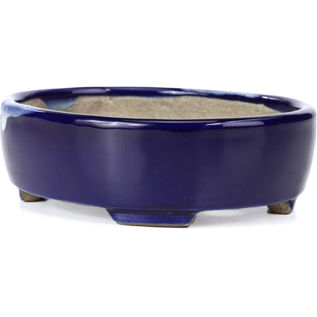 Ovale blauwe bonsaipot van Terahata Satomi Mazan - 160 x 132 x 47 mm