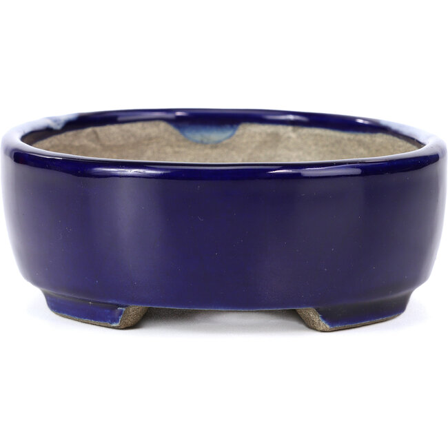 Pot à bonsaï ovale bleu par Terahata Satomi Mazan - 160 x 132 x 47 mm