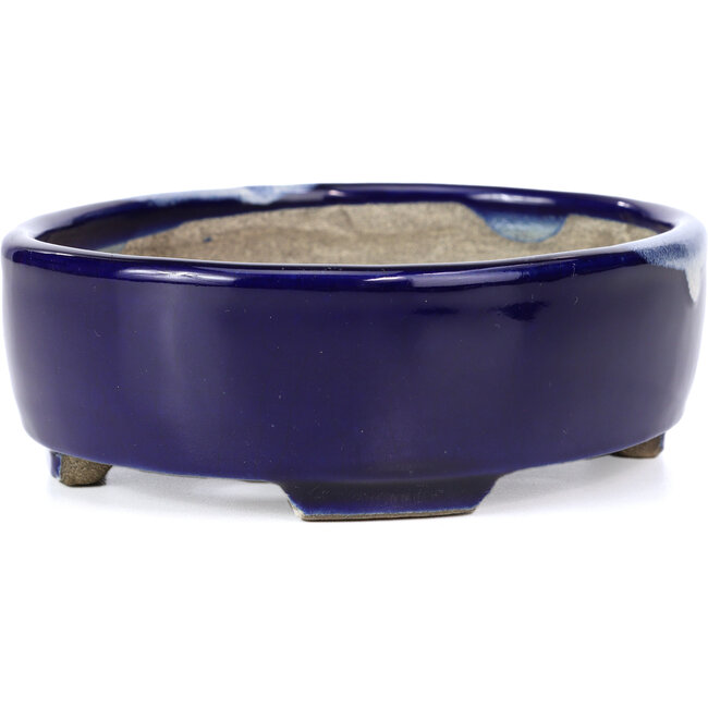 Ovale blaue Bonsaischale von Terahata Satomi Mazan - 160 x 132 x 47 mm