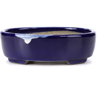  Satomi Mazan, Mazan Terahata 160 mm oval blue bonsai pot by Terahata Satomi Mazan, Tokoname, Japan