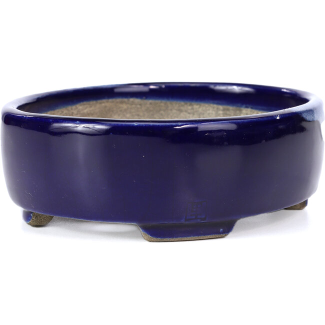 Maceta de bonsái azul ovalada de Terahata Satomi Mazan - 160 x 132 x 47 mm