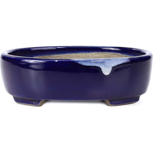 Ovale blaue Bonsaischale von Terahata Satomi Mazan - 160 x 132 x 47 mm