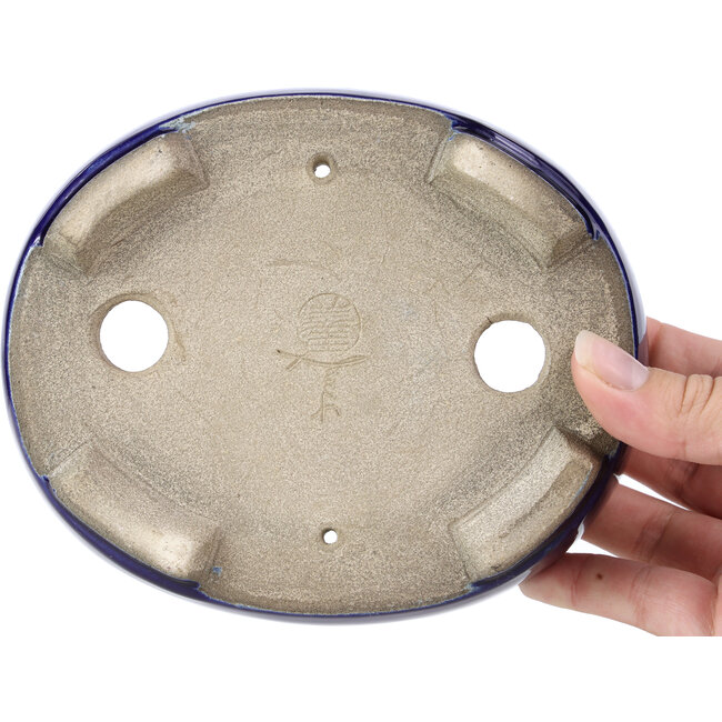 Ovale blauwe bonsaipot van Terahata Satomi Mazan - 160 x 132 x 47 mm