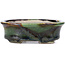 Oval green bonsai pot by Terahata Satomi Mazan - 110 x 84 x 34 mm