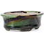 Oval green bonsai pot by Terahata Satomi Mazan - 110 x 84 x 34 mm