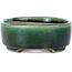 Oval green bonsai pot by Terahata Satomi Mazan - 158 x 130 x 50 mm