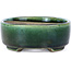 Ovale grüne Bonsaischale von Terahata Satomi Mazan - 158 x 130 x 50 mm