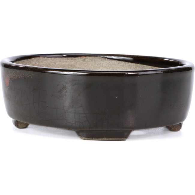 Oval brown bonsai pot by Terahata Satomi Mazan - 163 x 132 x 49 mm