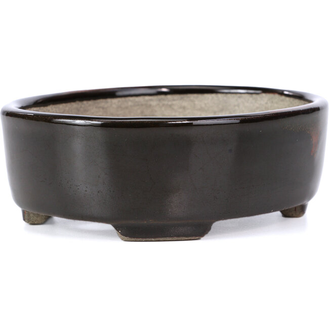Vaso per bonsai ovale marrone di Terahata Satomi Mazan - 163 x 132 x 49 mm