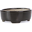 Oval brown bonsai pot by Terahata Satomi Mazan - 163 x 132 x 49 mm