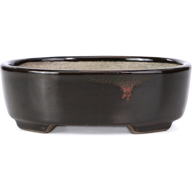 Maceta de bonsái marrón ovalada de Terahata Satomi Mazan - 163 x 132 x 49 mm