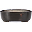 Oval brown bonsai pot by Terahata Satomi Mazan - 163 x 132 x 49 mm