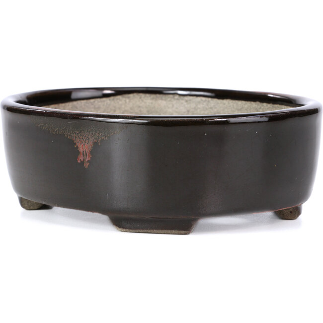 Oval brown bonsai pot by Terahata Satomi Mazan - 163 x 132 x 49 mm