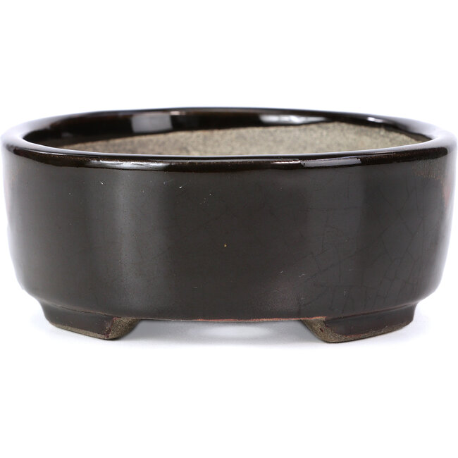 Maceta de bonsái marrón ovalada de Terahata Satomi Mazan - 163 x 132 x 49 mm