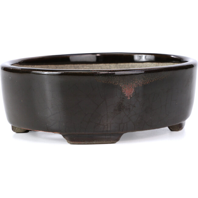 Ovale bruine bonsaipot van Terahata Satomi Mazan - 163 x 132 x 49 mm