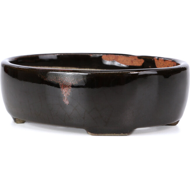 Pot à bonsaï ovale marron par Terahata Satomi Mazan - 145 x 115 x 45 mm