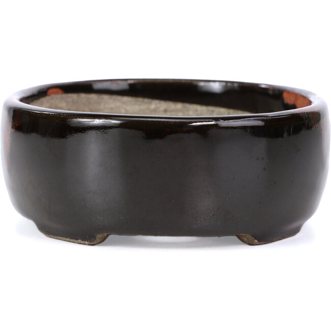 Oval brown bonsai pot by Terahata Satomi Mazan - 145 x 115 x 45 mm