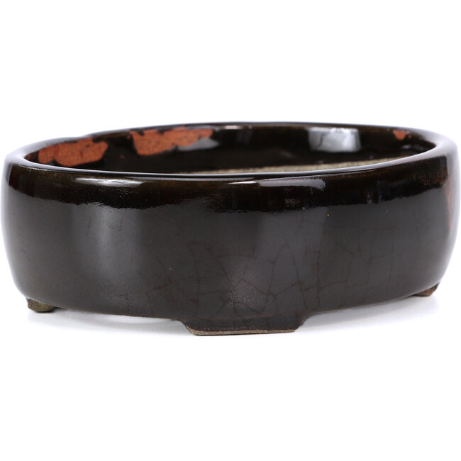 Ovale braune Bonsaischale von Terahata Satomi Mazan - 145 x 115 x 45 mm