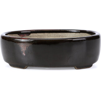  Satomi Mazan, Mazan Terahata 141 mm oval brown bonsai pot by Terahata Satomi Mazan, Tokoname, Japan