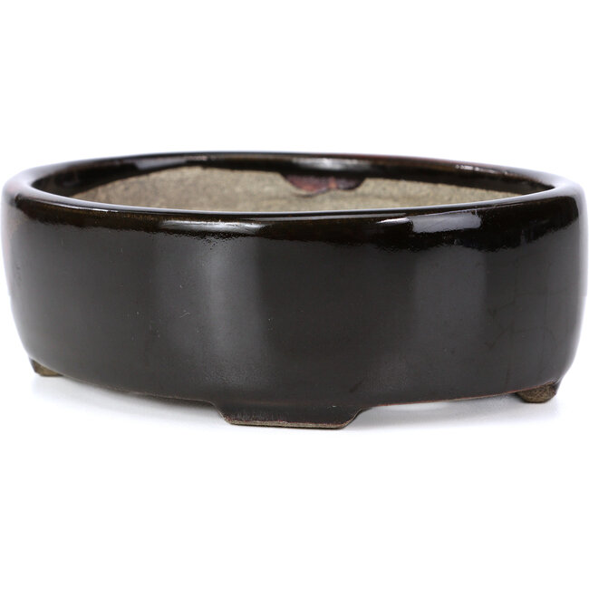 Vaso per bonsai ovale marrone di Terahata Satomi Mazan - 141 x 103 x 43 mm