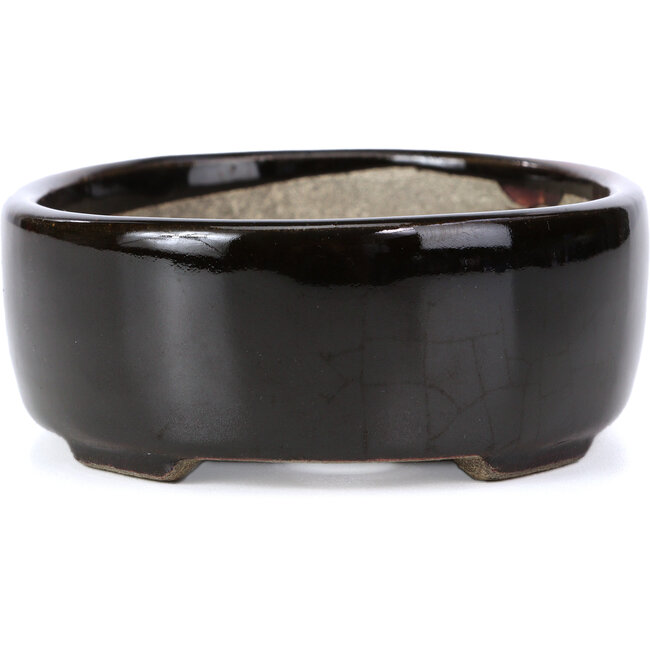 Maceta de bonsái marrón ovalada de Terahata Satomi Mazan - 141 x 103 x 43 mm