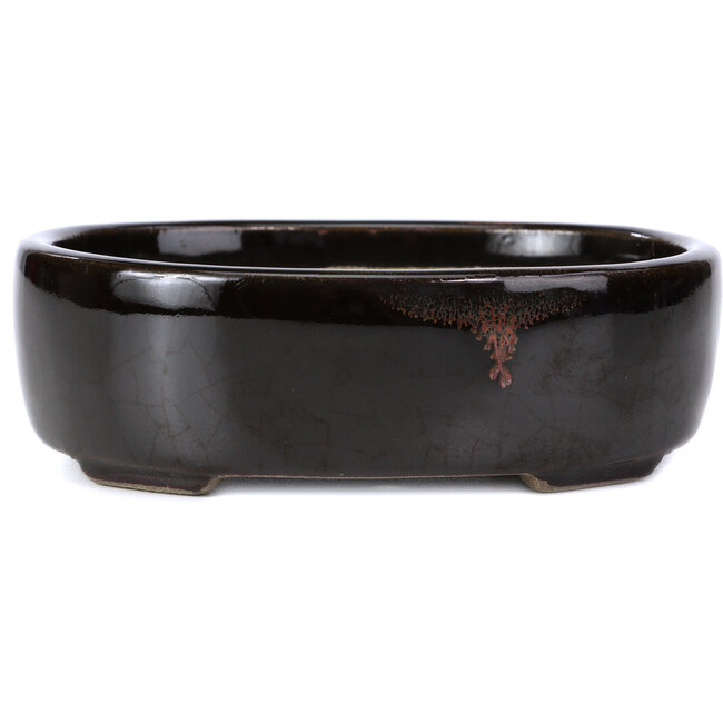 Vaso per bonsai ovale marrone di Terahata Satomi Mazan - 141 x 103 x 43 mm