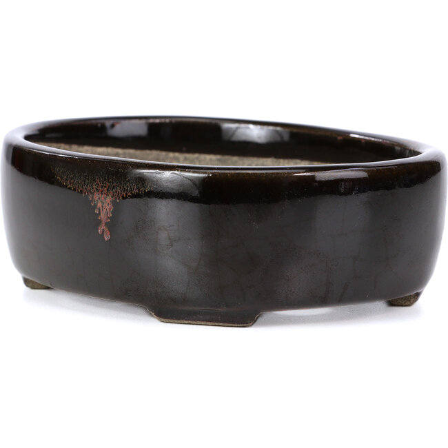 Ovale bruine bonsaipot van Terahata Satomi Mazan - 141 x 103 x 43 mm