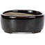 Vaso per bonsai ovale marrone di Terahata Satomi Mazan - 141 x 103 x 43 mm