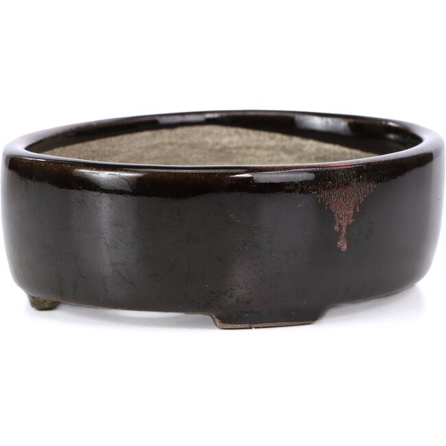 Vaso per bonsai ovale marrone di Terahata Satomi Mazan - 141 x 103 x 43 mm