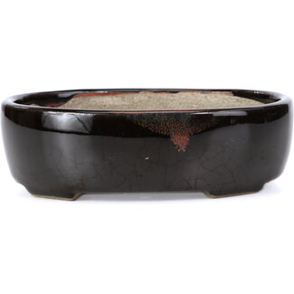  Satomi Mazan, Mazan Terahata 143 mm oval brown bonsai pot by Terahata Satomi Mazan, Tokoname, Japan