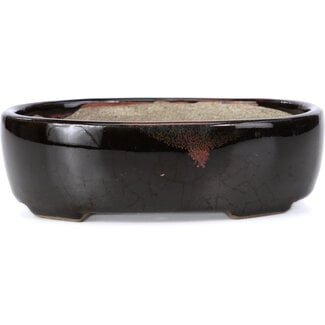  Satomi Mazan, Mazan Terahata Vaso per bonsai marrone ovale da 143 mm di Terahata Satomi Mazan, Tokoname, Giappone