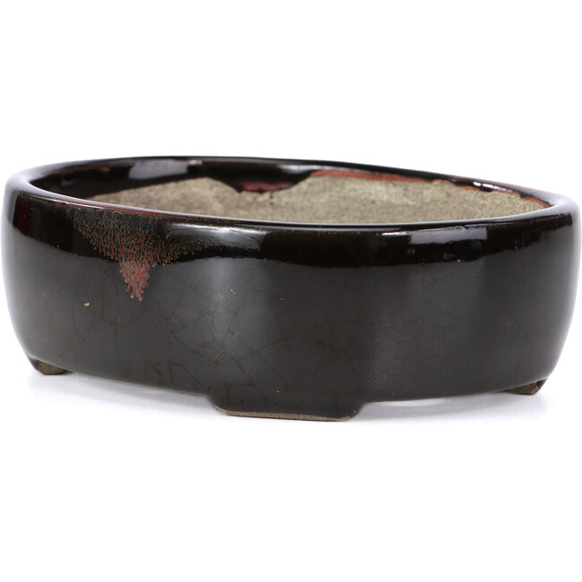 Oval brown bonsai pot by Terahata Satomi Mazan - 143 x 113 x 45 mm