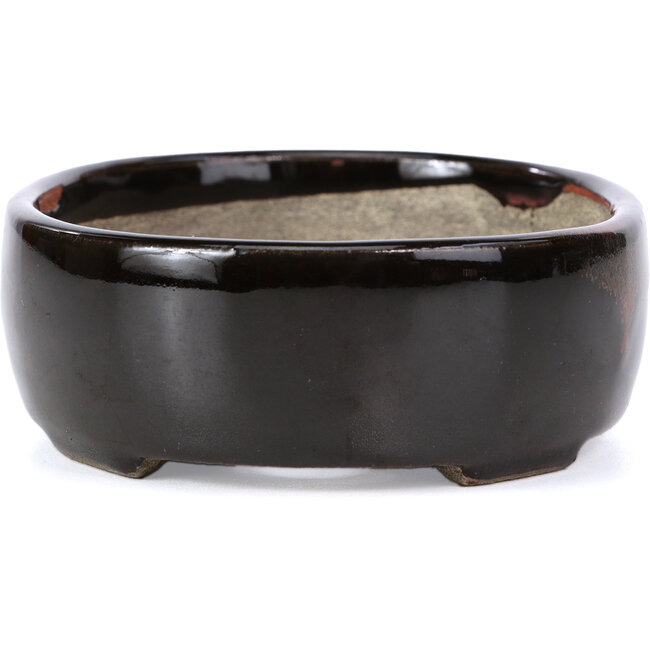 Ovale bruine bonsaipot van Terahata Satomi Mazan - 143 x 113 x 45 mm