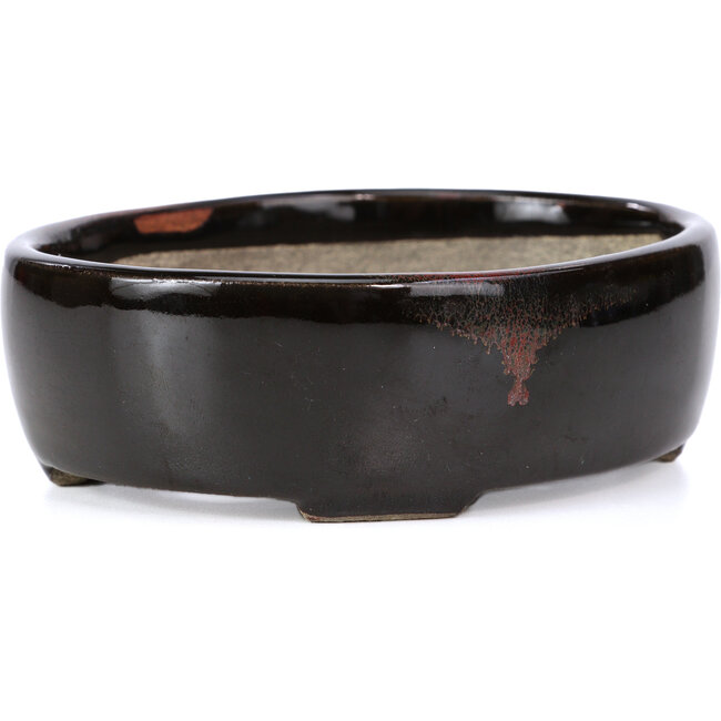 Pot à bonsaï ovale marron par Terahata Satomi Mazan - 143 x 113 x 45 mm