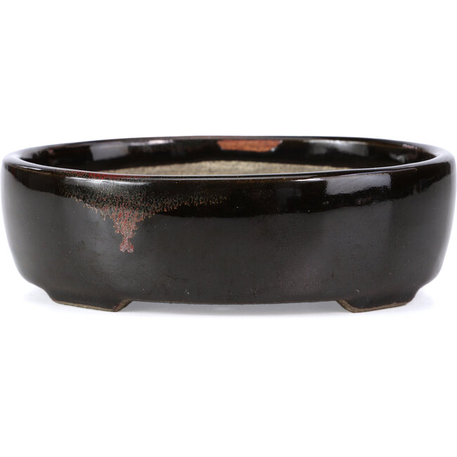 Maceta de bonsái marrón ovalada de Terahata Satomi Mazan - 143 x 113 x 45 mm