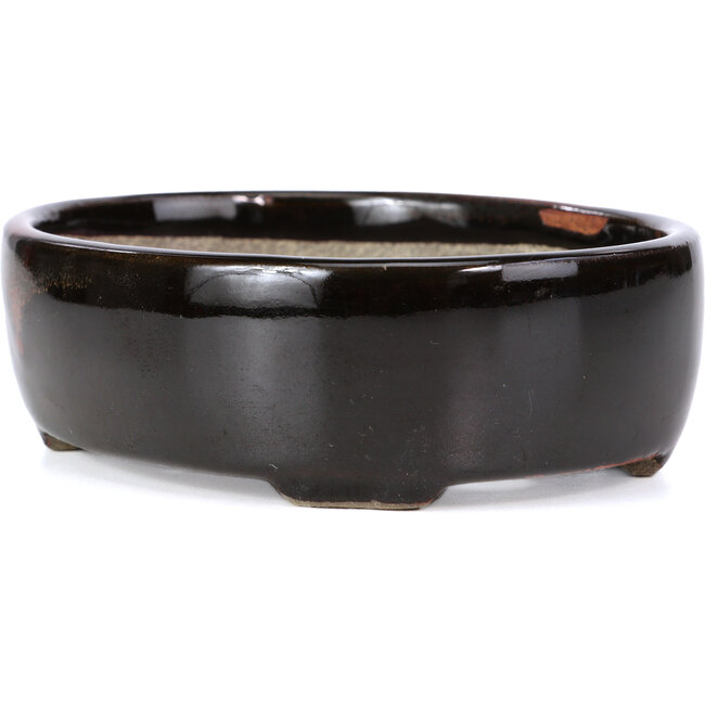 Vaso per bonsai ovale marrone di Terahata Satomi Mazan - 143 x 113 x 45 mm