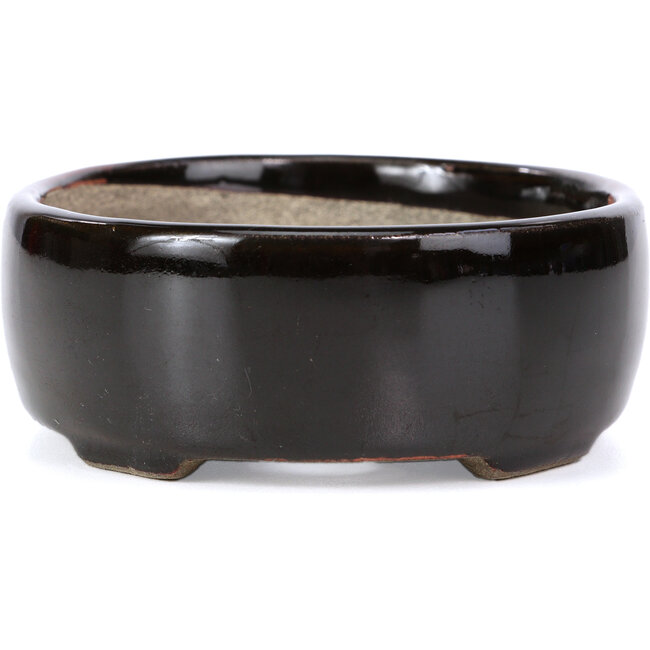 Vaso per bonsai ovale marrone di Terahata Satomi Mazan - 143 x 113 x 45 mm