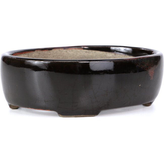 Ovale bruine bonsaipot van Terahata Satomi Mazan - 143 x 113 x 45 mm