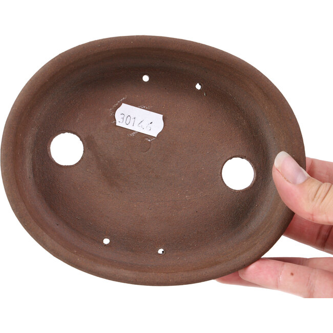 Vaso per bonsai ovale non smaltato di Terahata Satomi Mazan - 153 x 125 x 33 mm