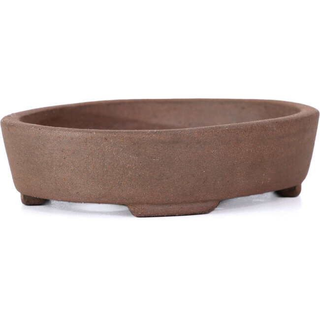 Vaso per bonsai ovale non smaltato di Terahata Satomi Mazan - 130 x 102 x 31 mm