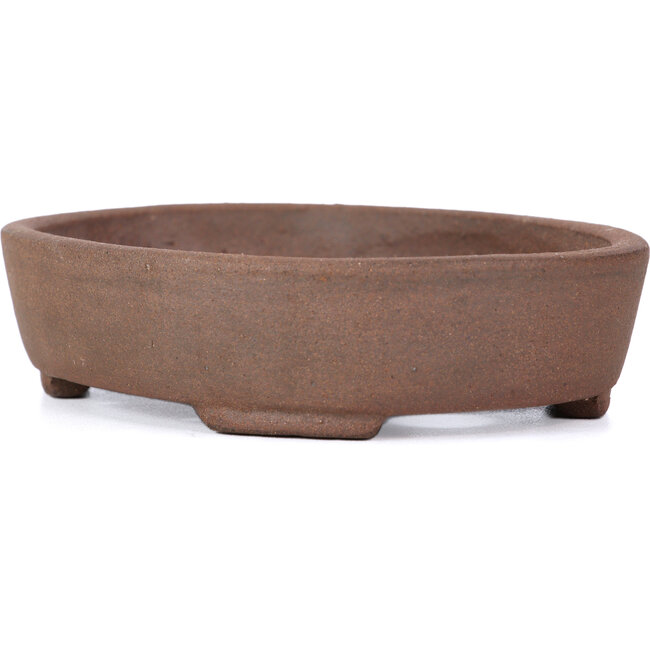 Maceta de bonsái ovalada sin esmaltar de Terahata Satomi Mazan - 130 x 102 x 31 mm