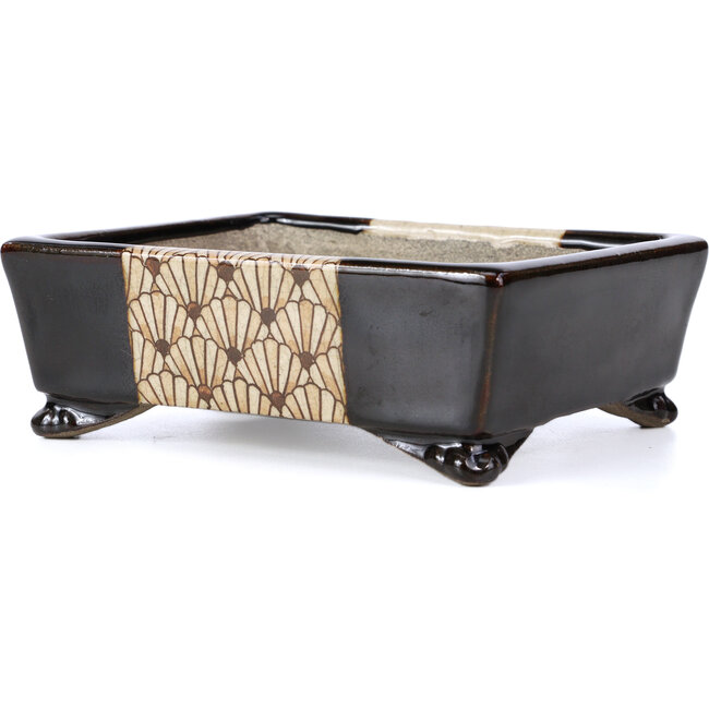 Maceta de bonsái marrón rectangular de Terahata Satomi Mazan - 155 x 131 x 54 mm