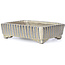 Rechteckige beige Bonsaischale von Terahata Satomi Mazan - 145 x 112 x 43 mm