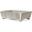 Rechteckige beige Bonsaischale von Terahata Satomi Mazan - 148 x 106 x 43 mm