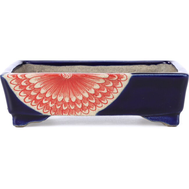 Pot à bonsaï rectangulaire bleu par Terahata Satomi Mazan - 149 x 108 x 44 mm