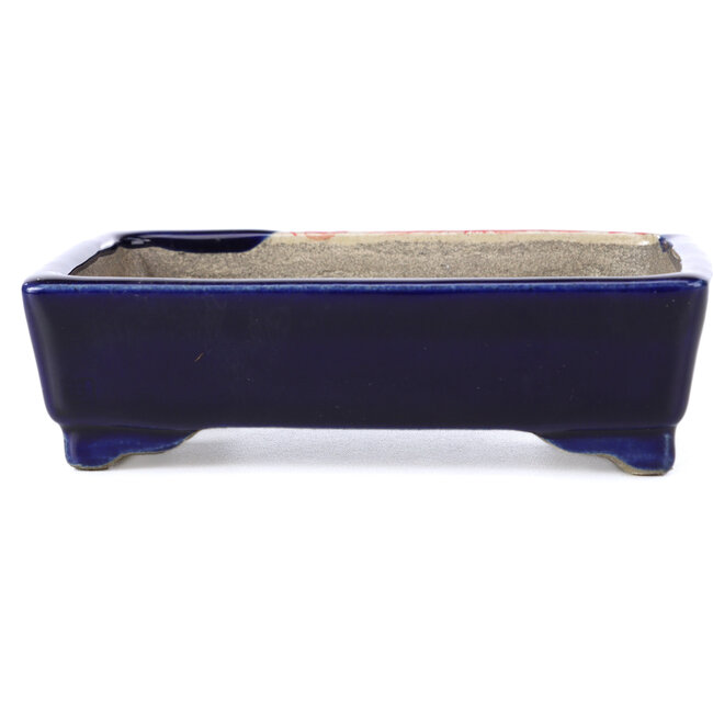 Vaso per bonsai rettangolare blu di Terahata Satomi Mazan - 149 x 108 x 44 mm