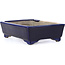 Pot à bonsaï rectangulaire bleu par Terahata Satomi Mazan - 149 x 108 x 44 mm