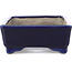 Pot à bonsaï rectangulaire bleu par Terahata Satomi Mazan - 149 x 108 x 44 mm