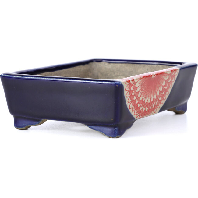 Pot à bonsaï rectangulaire bleu par Terahata Satomi Mazan - 149 x 108 x 44 mm